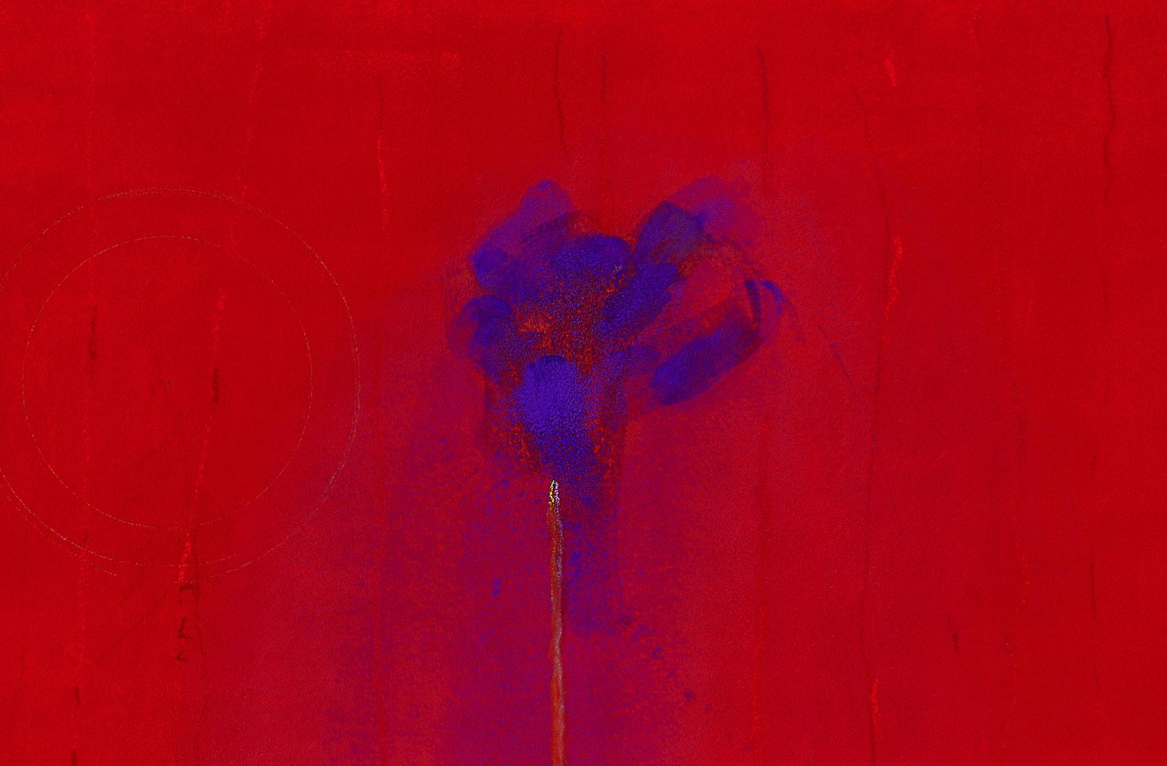element.img.alt