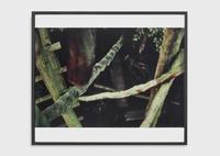 Lothar Baumgarten, Erfassung und Reichweite (Seizure and range) [Culture - Nature series], 1969