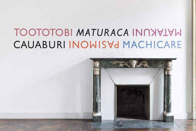Lothar Baumgarten, River Pieces XXIV, Querula purpurata, Venezuela, 1977, 2016