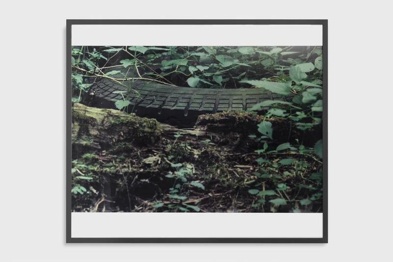 Lothar Baumgarten, Antizipierte Gürteltiere (Anticipated Armadillos) [Culture - Nature series], 1969